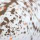 Illustration for article titled Motion Gallery 2